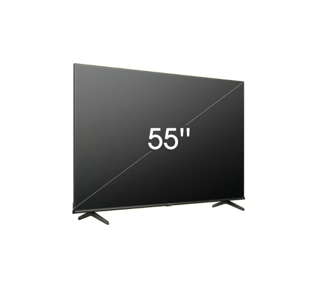 ECRAN 55"